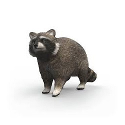 MAPACHE Safari Vida salvatge Schleich 14937