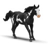 CAPO PAINT HORSE Cavall Schleich 14900