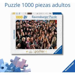 HARRY POTTER CHALLENGE Puzzle 1000 pcs. Ravensburger 00457