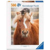 THE LITTLE RIDER Puzzle 500 pcs. Ravensburger 1901