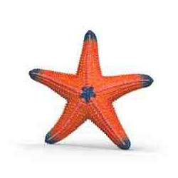 ESTRELLA DE MAR (Cambia de color) Mar Schleich 14902