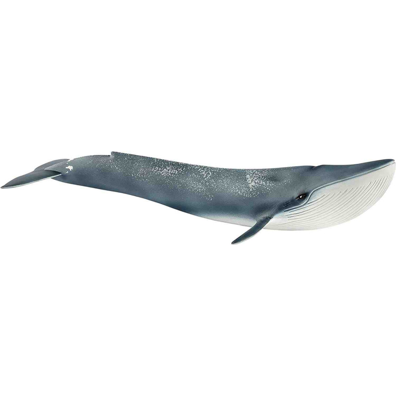 BALLENA AZUL Schleich  Wild Life Oceano 14806
