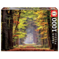 PASEO OTOÑAL 1000 PCS