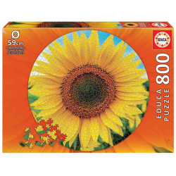 GIRASOL CERCLE 800pcs.