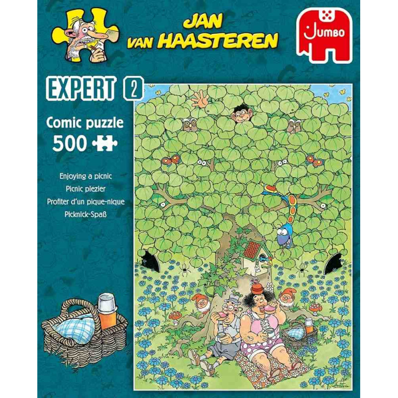 JAN VAN HAASTEREN ENJOYING A PICNIC 500pcs.