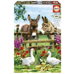 BURROS 500pcs.