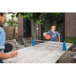 JUEGO PING PONG (Tenis de mesa)