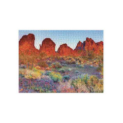 ARIZONA DESERT 1000pcs.