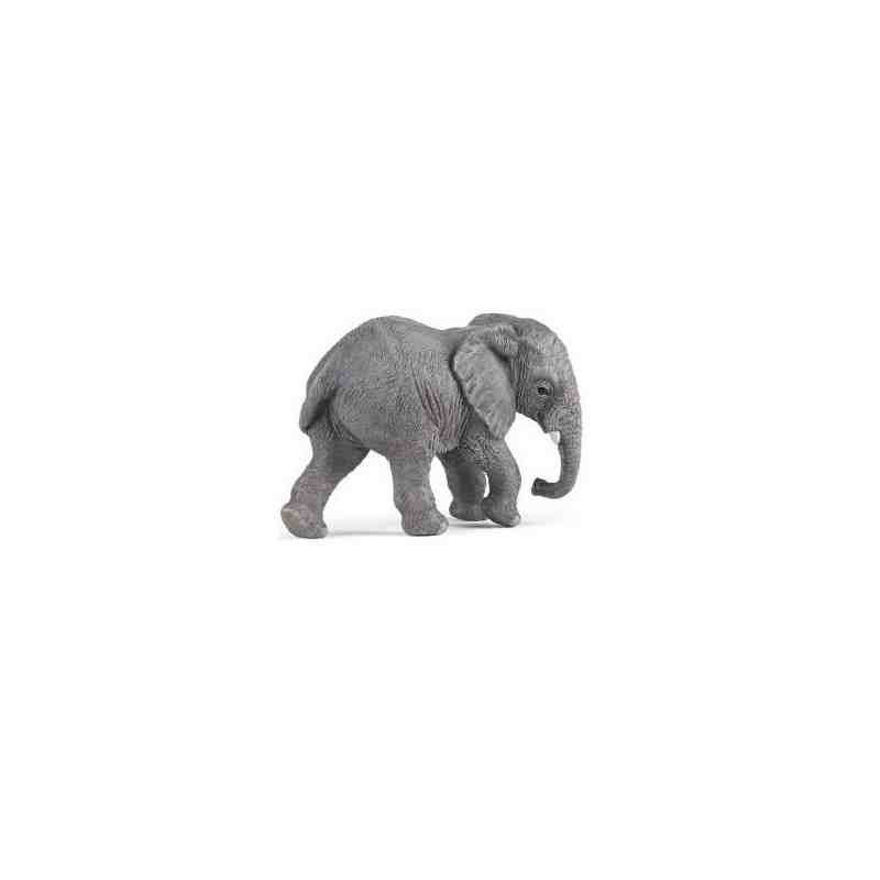 ELEFANTE AFRICACO JOVEN