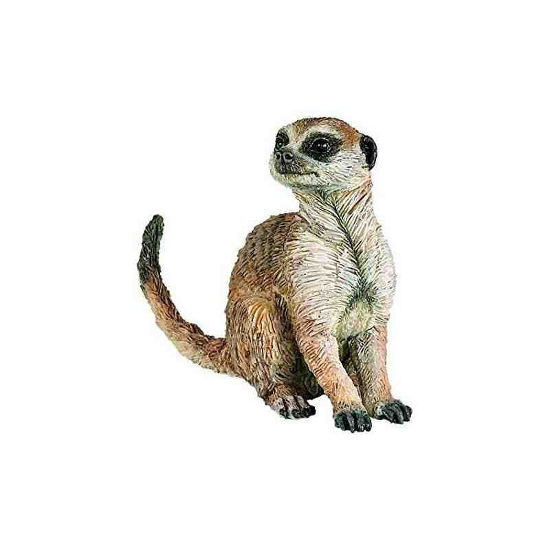 SURICATA SENTADO