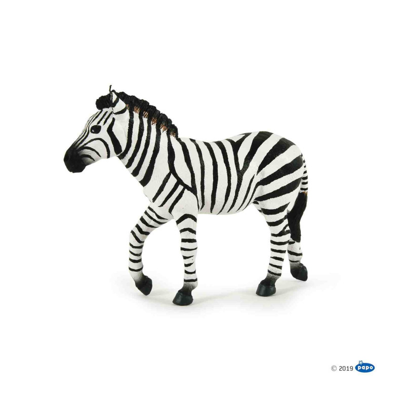 ZEBRA MASCLE