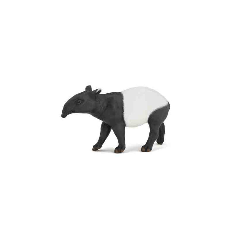 TAPIR  Papo