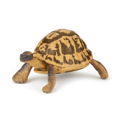 TORTUGA DE HERMANN