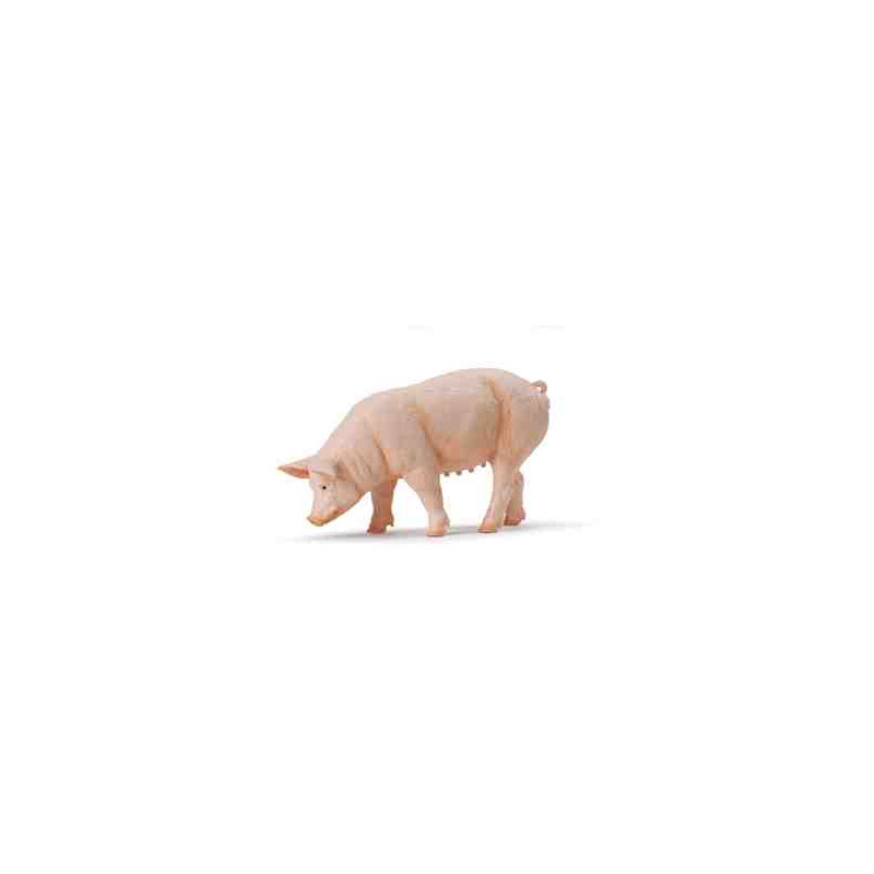 PORC