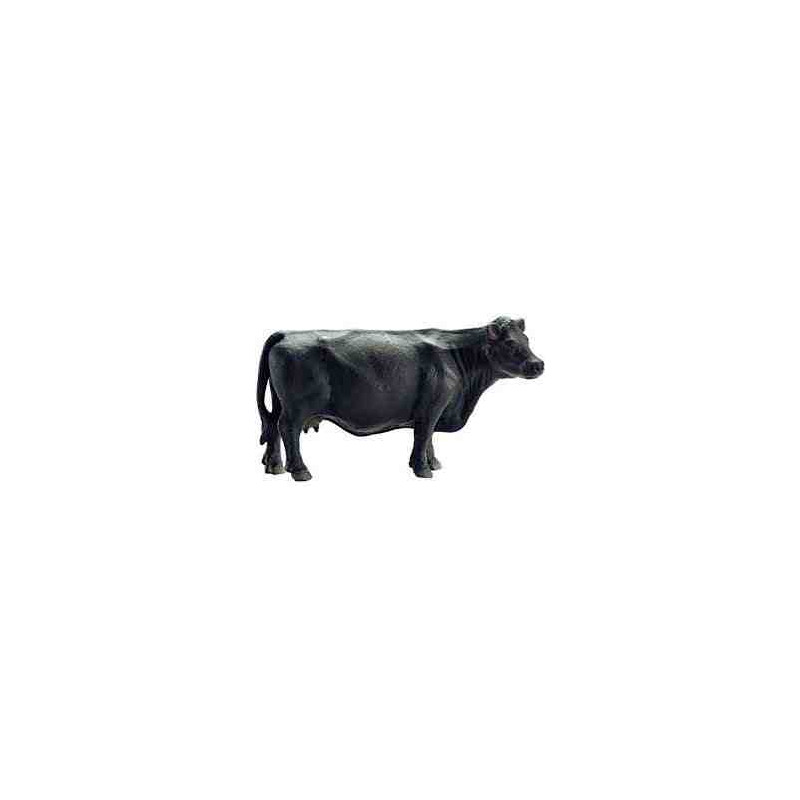 VACA NEGRA ANGUS B