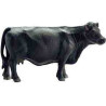 VACA NEGRA ANGUS B