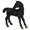 POLTRE LIPIZZAN B