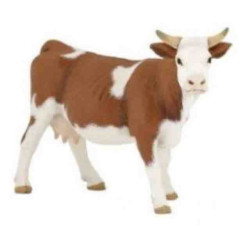 VACA SIMMENTAL