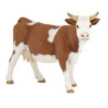 VACA SIMMENTAL