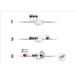 GRAVITRAX CANO MAGNETIC (Expansio)