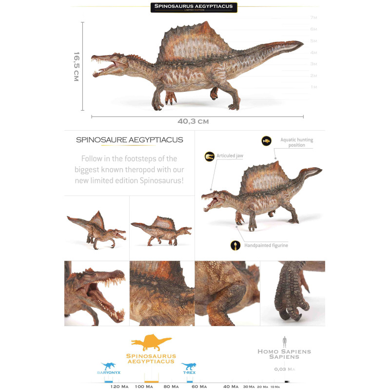 SPINOSAURUS AEGIPTIACUS  Limited Edition