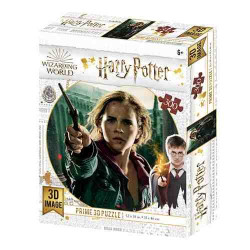 PUZLE HERMIONE 3D 300pcs.(H.Potter)