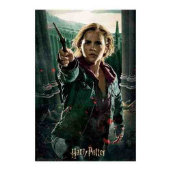 PUZLE HERMIONE 3D 300pcs.(H.Potter)