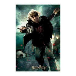 PUZZLE RON 3D 300 pces.(H.Potter)