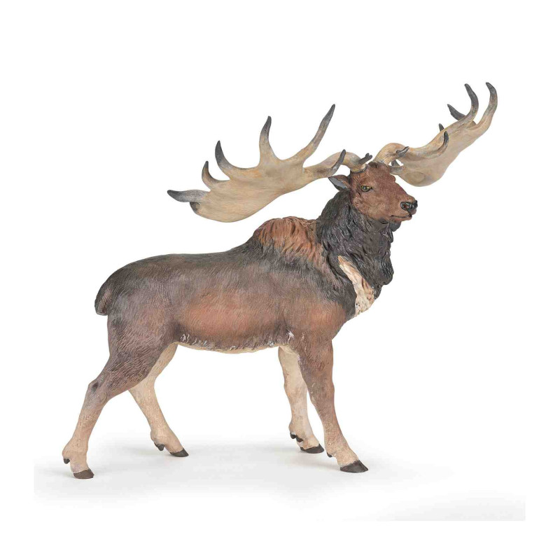 MEGALOCEROS