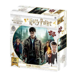 HARRY,HERMIONE I RON 3D 300pcs.(Harry Potter)