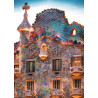 CASA BATLLO 1000p.