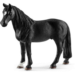 CAVALLO CAPON TENNESSEE WALKER