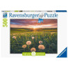 DENTS DE LLEO AL CAPVESPRE 500pcs. Puzzle Ravensburger