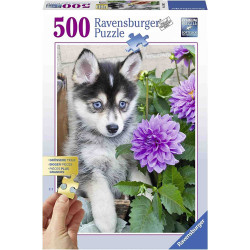 CADELL DE HUSKY 500pcs. Puzzle Ravensburger