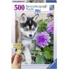 CACHORRO DE HUSKY 500pcs.