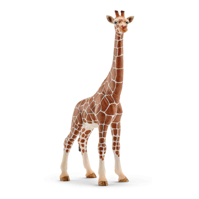 GIRAFA FEMELLA  Schleich  Wild Life Safari