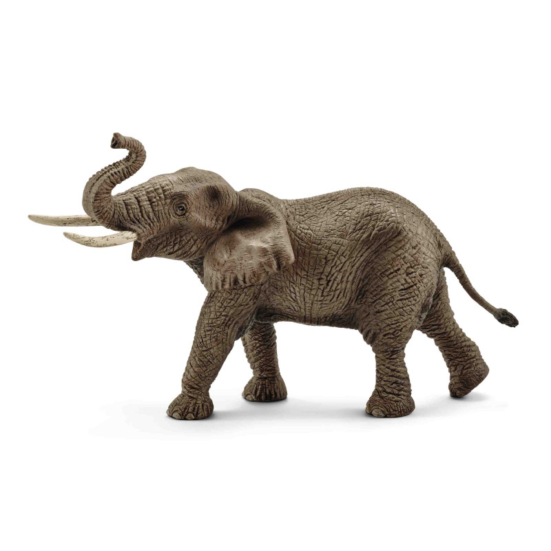 ELEFANT AFRICA MASCLE  Schleich  Wild Life Safari