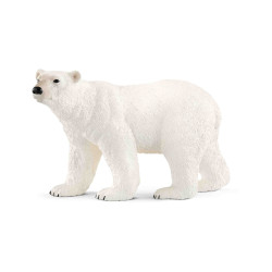 OSO  POLAR