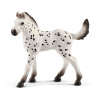 POLTRE KNABSTRUPPER  Schleich Cavall