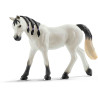 EUGA ARAB Schleich Cavall