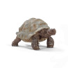 TORTUGA GEGANT  Schleich  Wild Life Safari