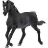 SEMENTAL ARAB  Schleich Cavall