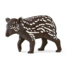 TAPIR MACHO