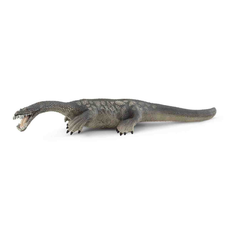 NOTHOSAURUS