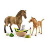 SET CUIDADO DE CRIAS(Horse Club Sarah)  Schleich