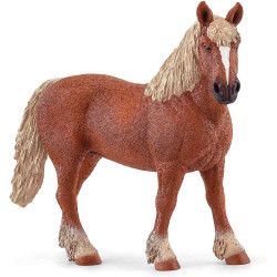 EUGA DE CRIA BELGA  Schleich Cavall