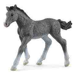 POLTRE TRAKEHNER Schleich Cavall