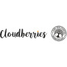 CLOUDBERRIES